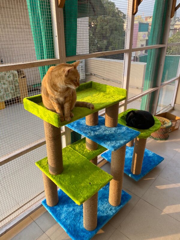 Bulbul Spacious Cat Tower – 3ft Tall | Custom Colors | 3 Rope Scratch Poles for 1–3 Cats