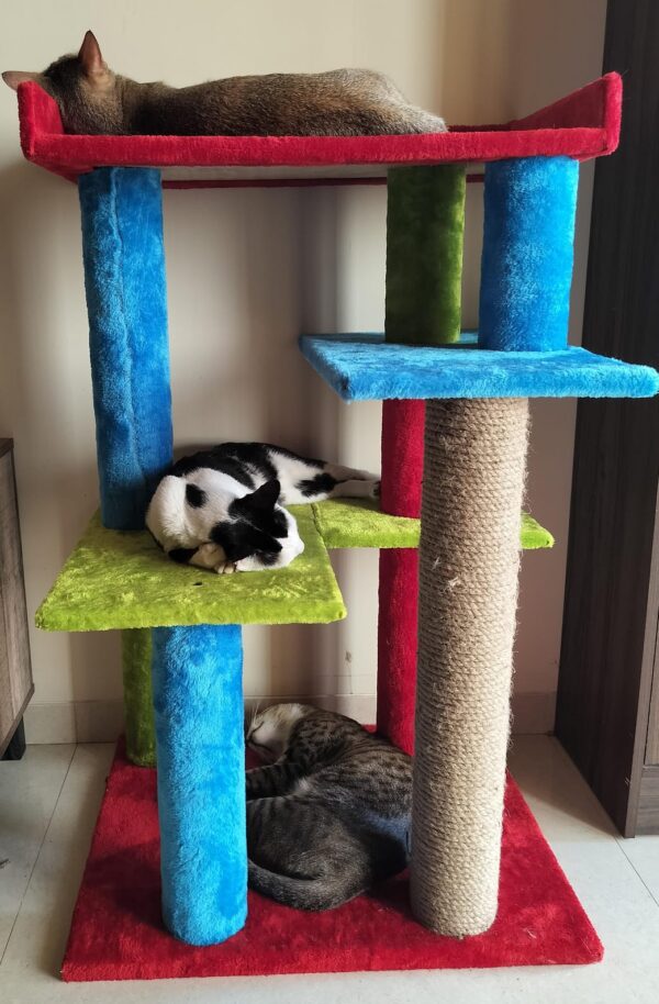 Bulbul Spacious Cat Tower – 3ft Tall | Custom Colors | 3 Rope Scratch Poles for 1–3 Cats