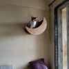Selena Cozy Cat Wall Mount – 22" Curved Platform – Felt Carpet & Birch Wood – Winter-Friendly Design