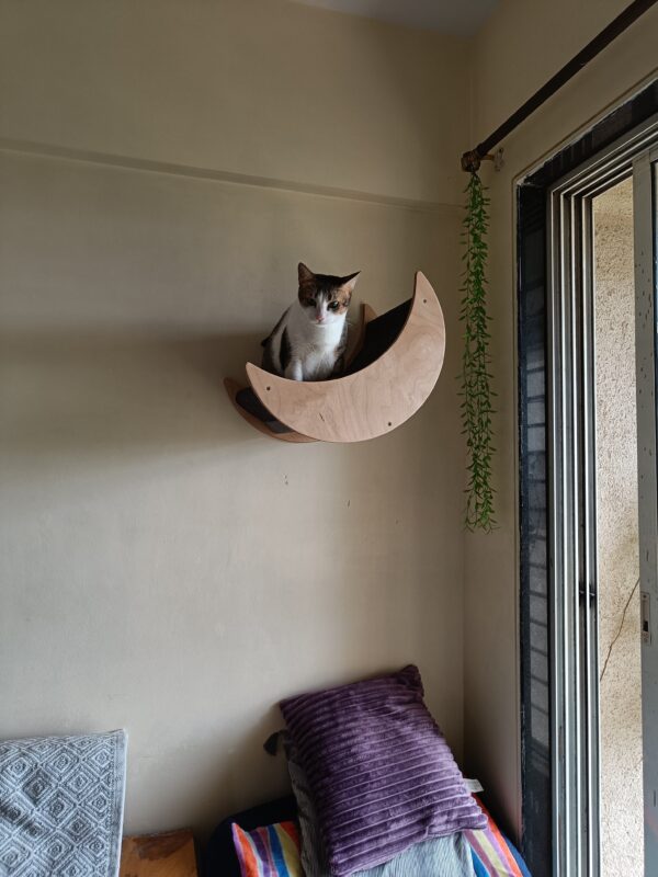 Selena Cozy Cat Wall Mount – 22" Curved Platform – Felt Carpet & Birch Wood – Winter-Friendly Design