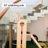 Jungle Gym – 5ft Tall Premium Cat Tower with Scratcher & Climbing Slider