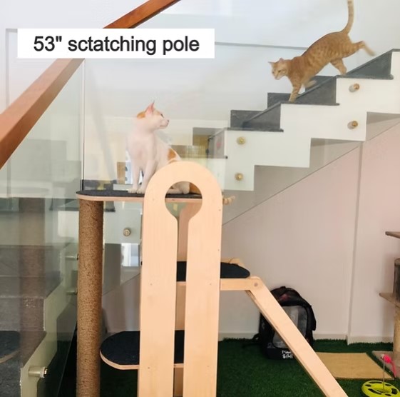 Screenshot 2025-06-18 214127 Jungle Gym – 5ft Tall Premium Cat Tower with Scratcher & Climbing Slider