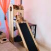 Jungle Gym – 5ft Tall Premium Cat Tower with Scratcher & Climbing Slider