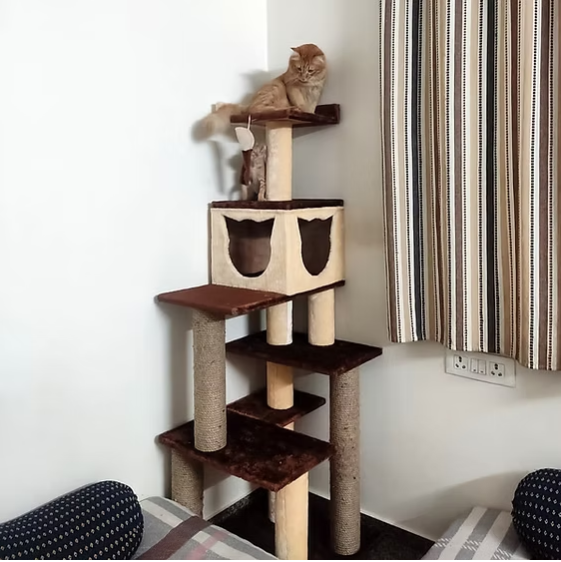 Basic King Cat Tower 5ft Condo Scratcher - Play & Lounge tower - Ideal for 1 to 3 cats