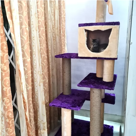 Basic King Cat Tower 5ft Condo Scratcher - Play & Lounge tower - Ideal for 1 to 3 cats