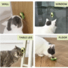 Avacado Catnip Ball Toy for Cats Interactive Cat Toy Rotating Paw Catnip Ball Kitten Pet Self-Healing Cleaning Teeth Chew Toys Cat Wall Treats for Cats Lick