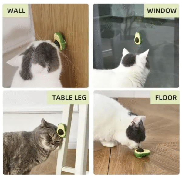 Screenshot 2025-06-20 140428 Avacado Catnip Ball Toy for Cats Interactive Cat Toy Rotating Paw Catnip Ball Kitten Pet Self-Healing Cleaning Teeth Chew Toys Cat Wall Treats for Cats Lick