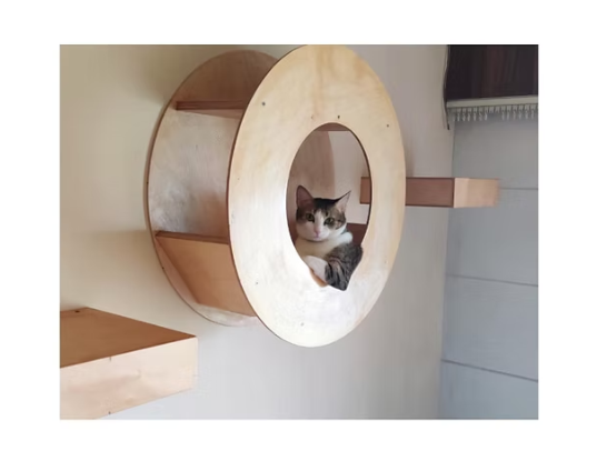 Cat Donut Wall Mount