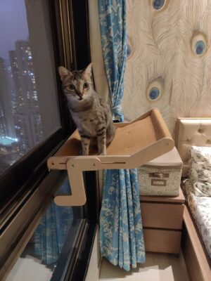 Floating Cat Hammock Grey or Beige