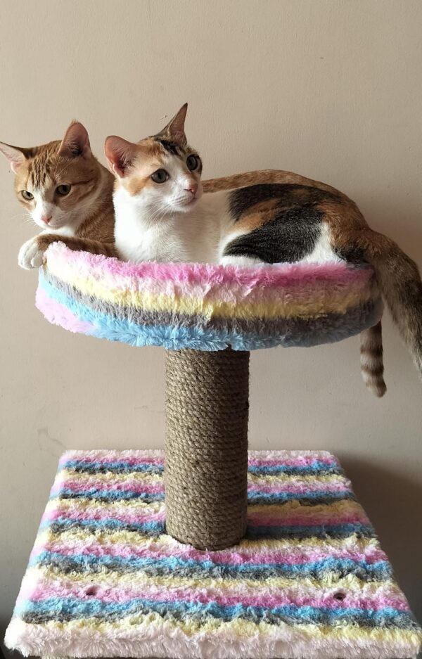WhatsApp Image 2025-03-03 at 15.51.51_33a76d5c Purrly Round Cat Basket Attachment – 15” Diameter – Fur & No-Fur Options – Compatible with All Towers