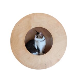 Cat Donut Wall Mount