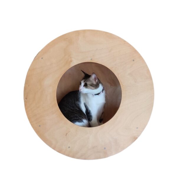 Cat Donut Wall Mount