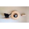 Cat Donut Set Wall Mount for adult cats and kittens