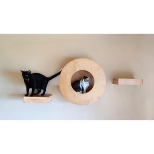 Cat Donut Set Wall Mount for adult cats and kittens