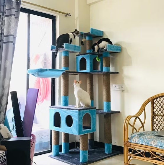 marsh1 Marshmellow Super Deluxe 6ft Cat Tower Condo Scratcher – 3 Top Platforms, Hammock – Ideal for 2-5 Cats