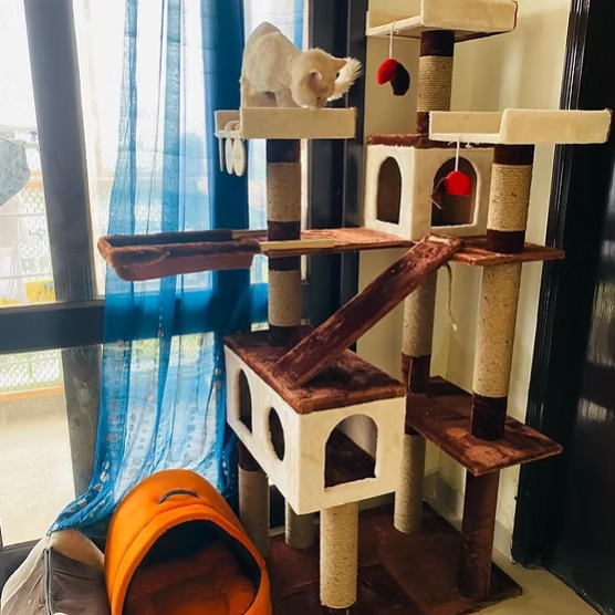 marsh2 Marshmellow Super Deluxe 6ft Cat Tower Condo Scratcher – 3 Top Platforms, Hammock – Ideal for 2-5 Cats