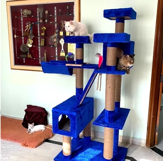 marsh5 Marshmellow Super Deluxe 6ft Cat Tower Condo Scratcher – 3 Top Platforms, Hammock – Ideal for 2-5 Cats