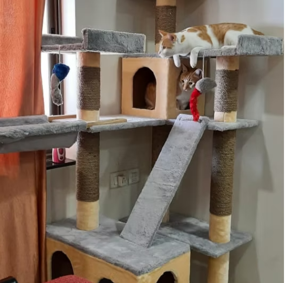 marsh6 Marshmellow Super Deluxe 6ft Cat Tower Condo Scratcher – 3 Top Platforms, Hammock – Ideal for 2-5 Cats