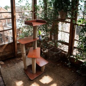 No-fur Peppermint Cat Tower and Scratching Pole Tower - 4ft tall - Easy Climbing - Great for old cats