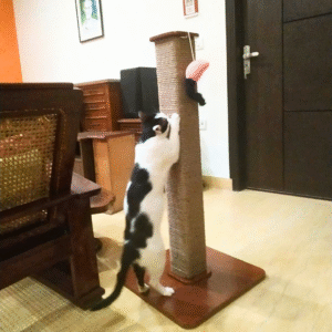 No-fur 3ft tall Meowzilla Cat Scratcher Square Vertical Pole - Easy to Clean