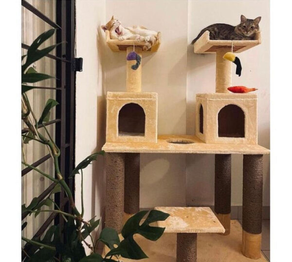 snowfall Snowfall 4ft Cat Tower Condo House with Dual Boxes & Scratch Posts – Ideal for Multi-Cat Homes
