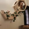 Hexa Wall Mount Basket - Lounger for Cats