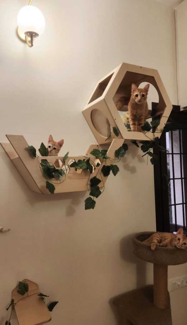 Hexa Wall Mount Basket - Lounger for Cats