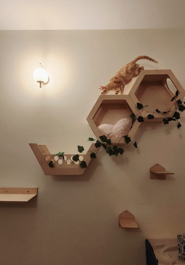 Hexa Wall Mount Basket - Lounger for Cats