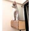 Wall Mount Pop-out Cat Scratcher – Tree-Bark Style Wall Scratching Post for Cats (11")