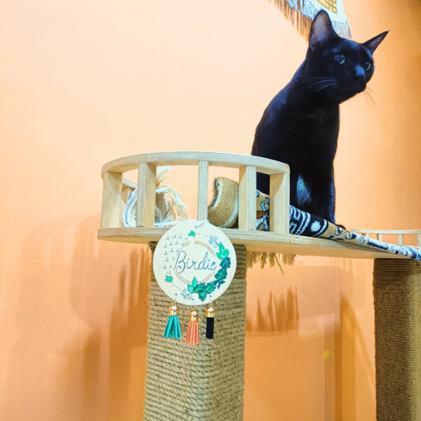 Purrly Cats™ Handmade Cat Charms - Colorful Name Plates for Towers, Walls & Doors (Limited Edition, 2-Color Combos, Max 3 Tassels)