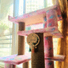 Purrly Cats™ Handmade Cat Charms - Colorful Name Plates for Towers, Walls & Doors (Limited Edition, 2-Color Combos, Max 3 Tassels)
