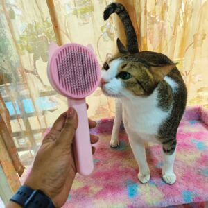 Premium Self-Cleaning Pet Brush for Cats & Dogs – Gentle Grooming & Massage Tool