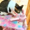 Premium Self-Cleaning Pet Brush for Cats & Dogs – Gentle Grooming & Massage Tool