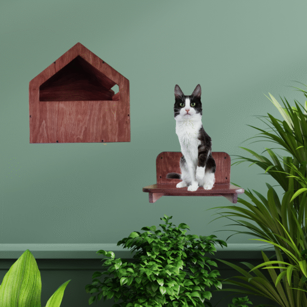 Brownie House Wall Mount for Cats Premium Natural Wood Finish