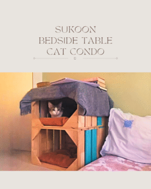 Sukoon Bedside Table & Cat Condo | Rustic Human + Cat Furniture with Cushions | Water-Resistant Plywood | 18” x 18” Base, 12” Height