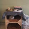 Sukoon Bedside Table & Cat Condo | Rustic Human + Cat Furniture with Cushions | Water-Resistant Plywood | 18” x 18” Base, 12” Height