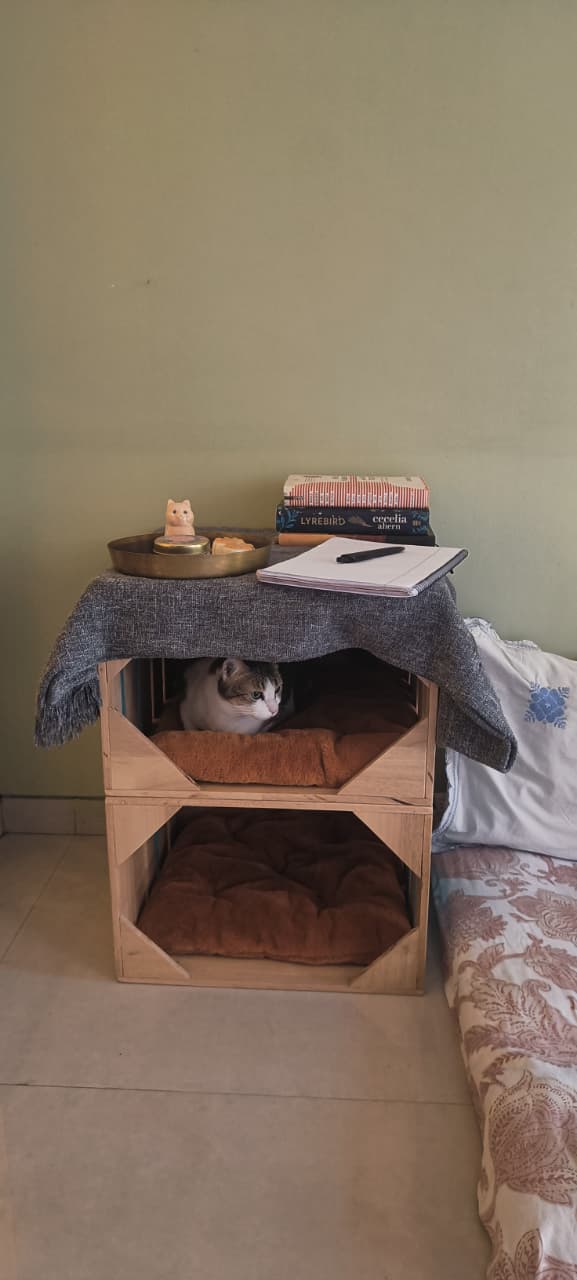 Sukoon Bedside Table & Cat Condo | Rustic Human + Cat Furniture with Cushions | Water-Resistant Plywood | 18” x 18” Base, 12” Height