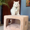1 Purrly Plush Hideaway – Fakira Cat Box Side Table (16” x 16" x 12")