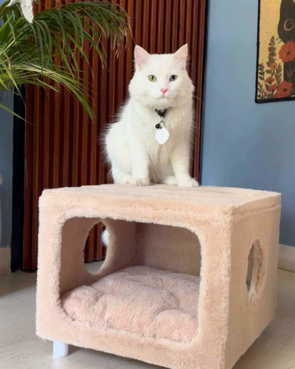 1 Purrly Plush Hideaway – Fakira Cat Box Side Table (16” x 16" x 12")