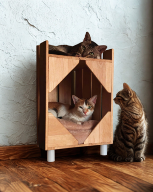 Purrly Plywood Hideaway – Fakira Cat Box Side Table (12” x 12" x 14")