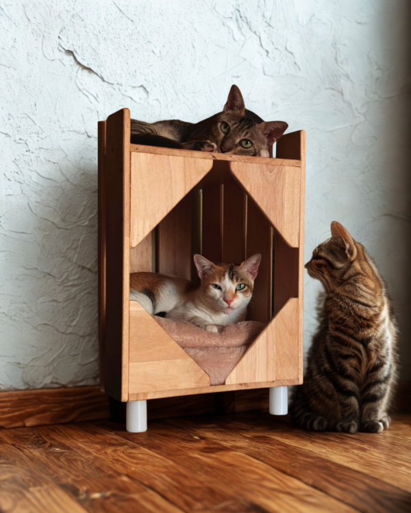 4 Purrly Plywood Hideaway – Fakira Cat Box Side Table (12” x 12" x 14")